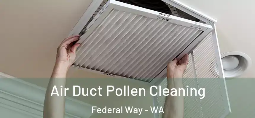  Air Duct Pollen Cleaning Federal Way - WA