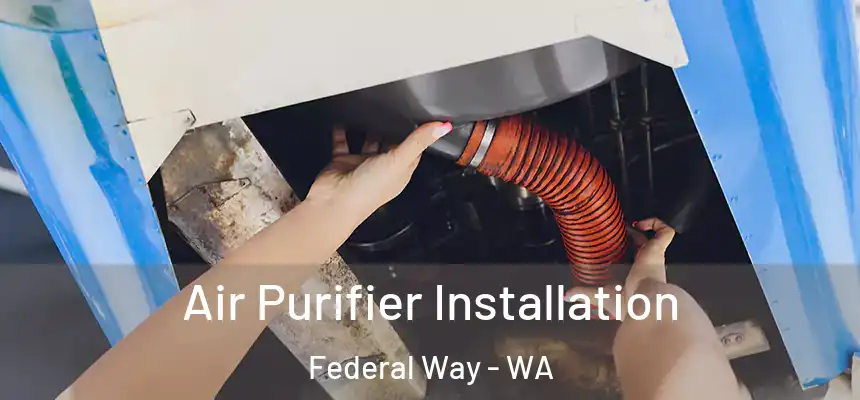  Air Purifier Installation Federal Way - WA