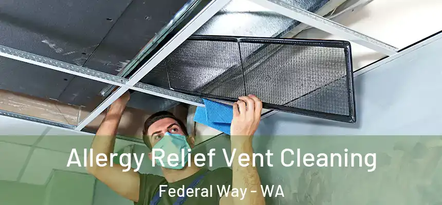  Allergy Relief Vent Cleaning Federal Way - WA