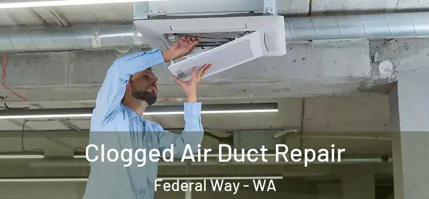  Clogged Air Duct Repair Federal Way - WA