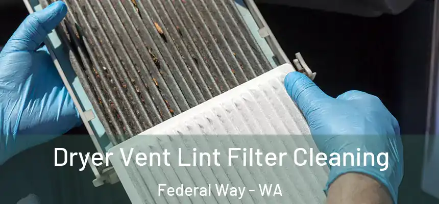  Dryer Vent Lint Filter Cleaning Federal Way - WA