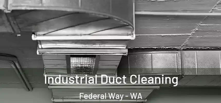 Industrial Duct Cleaning Federal Way - WA