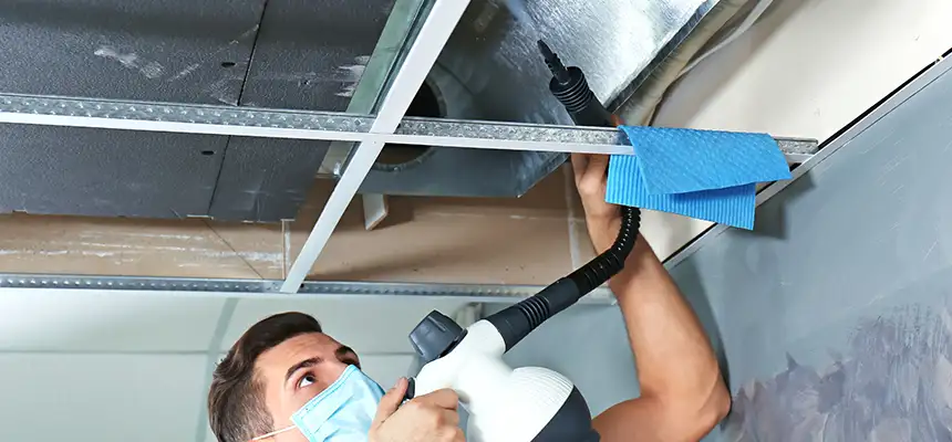 Our Air Duct Rodent Removal Services in Federal Way, WA