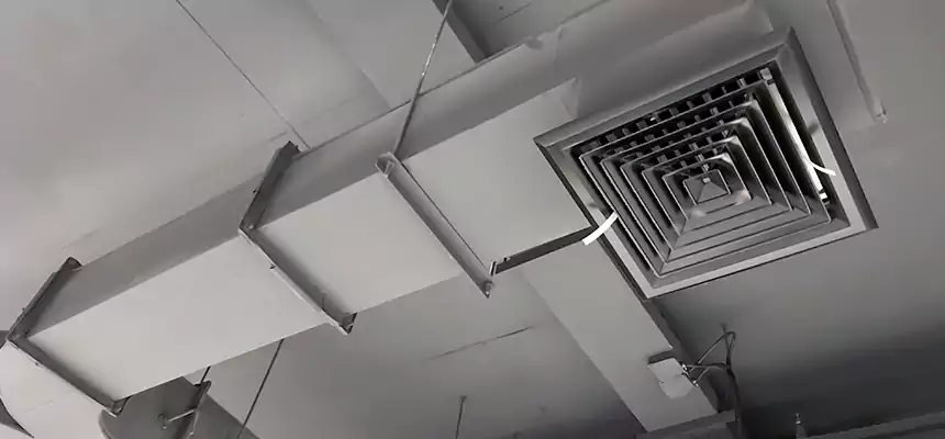 Restorative Allergy Relief Vent Cleaning – Coil, Blower & Housing Detail in Federal Way