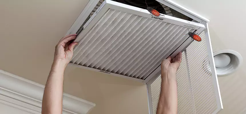 Our Insect Removal from Air Ducts Services in Federal Way, WA