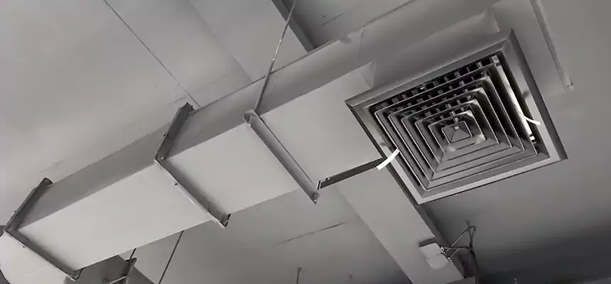 Our Pest Removal From Ducts Services in Federal Way, WA