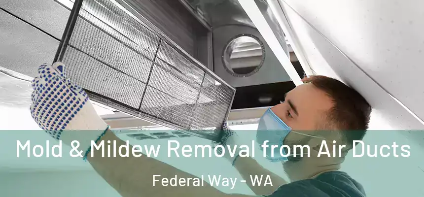  Mold & Mildew Removal from Air Ducts Federal Way - WA