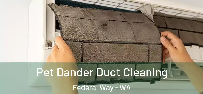 Pet Dander Duct Cleaning Federal Way - WA