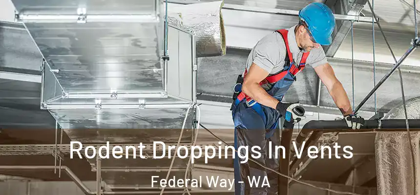  Rodent Droppings In Vents Federal Way - WA
