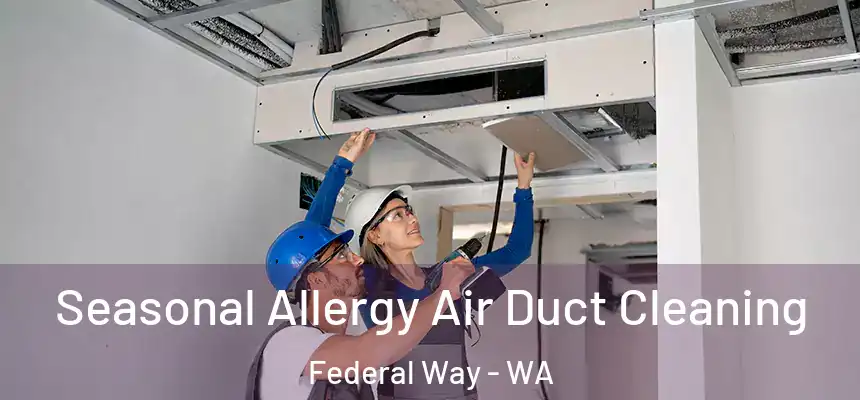 Seasonal Allergy Air Duct Cleaning Federal Way - WA