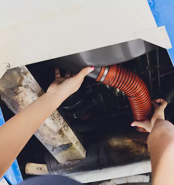 About Air Duct Virus Disinfection in Federal Way, WA