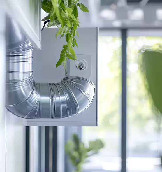 Professional Eco-Friendly Duct Cleaning Services in Federal Way, WA