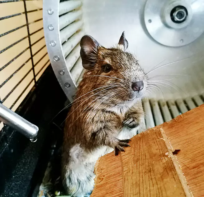 Why Homeowners & Businesses Trust Us Federal Way, WA