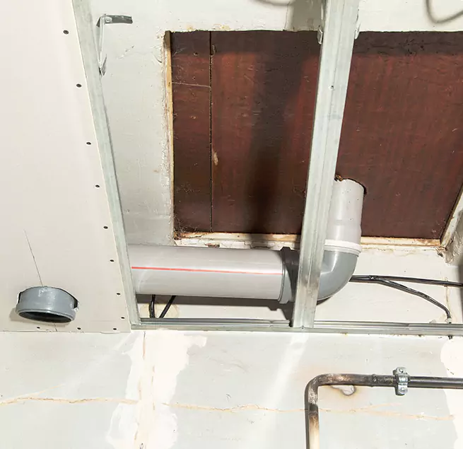 Why Homeowners & Businesses Trust Us in Federal Way, WA?