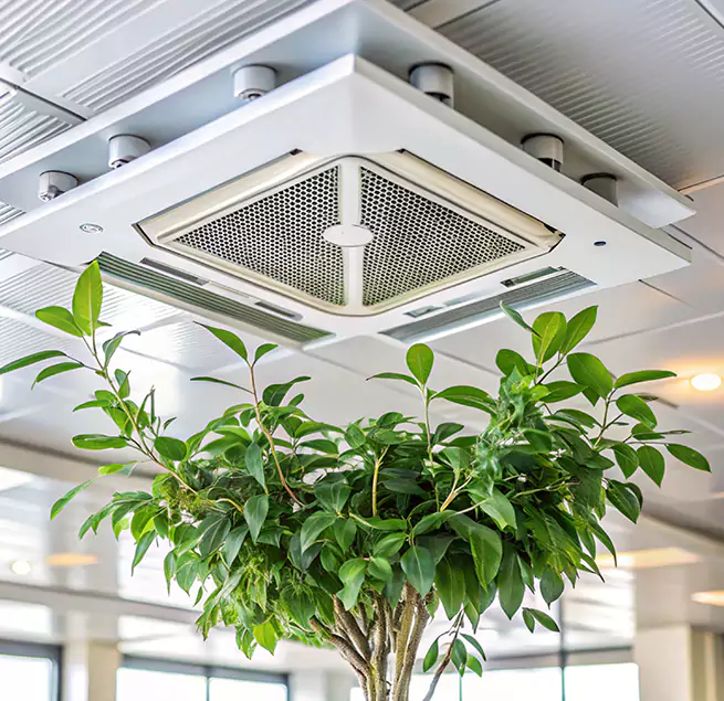 Why Homeowners & Businesses Trust Us in Federal Way, WA?