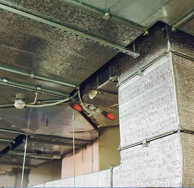 Why Homeowners & Businesses Trust Us Federal Way, WA?