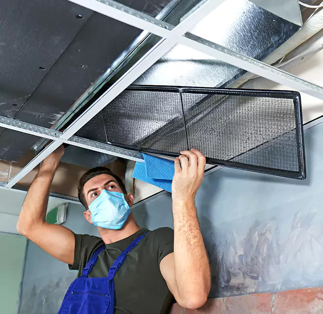 Why Homeowners & Businesses Trust Us in Federal Way, WA?