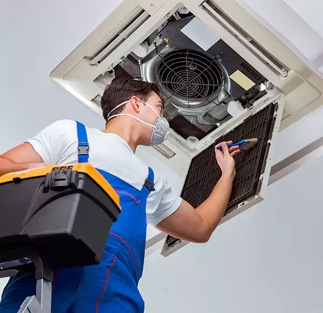 Why Homeowners & Businesses Trust Us in Federal Way, WA?