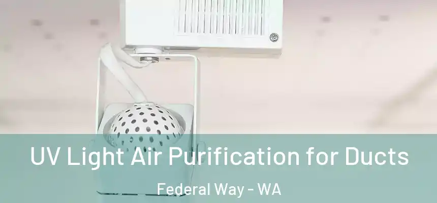  UV Light Air Purification for Ducts Federal Way - WA